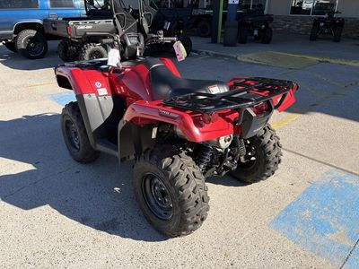 2025 Honda FourTrax Foreman Rubicon 4x4 Automatic DCT EPS - Photo 4