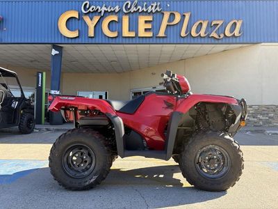 2025 Honda FourTrax Foreman Rubicon 4x4 Automatic DCT EPS - Photo 6