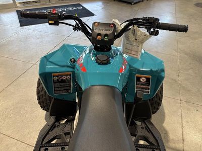 2026 Can-Am Renegade 110 EFI - Photo 14