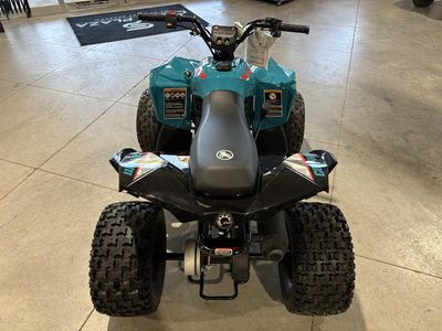 2026 Can-Am Renegade 110 EFI - Photo 5