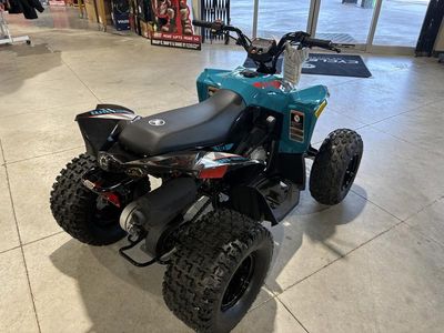 2026 Can-Am Renegade 110 EFI - Photo 4