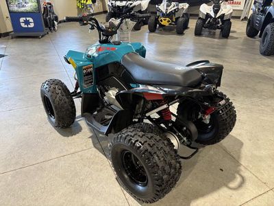 2026 Can-Am Renegade 110 EFI - Photo 3