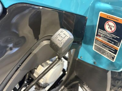 2026 Can-Am Renegade 110 EFI - Photo 13