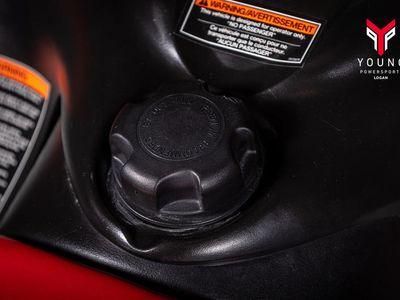 2006 Polaris RMK 900 (166-Inch) - Photo 10