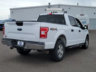2019 Ford F-150 — detail view