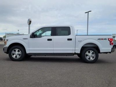 2019 Ford F-150 — side profile view