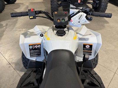 2026 Can-Am Renegade 70 EFI - Photo 11