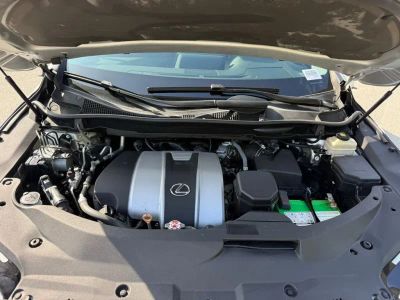 2018 Lexus RX - Photo 16