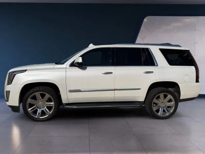 2019 Cadillac Escalade — side profile view