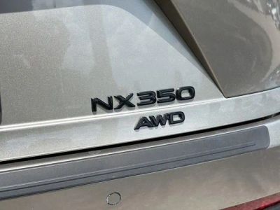 2025 Lexus NX — photo 11 view