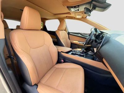 2025 Lexus NX — photo 15 view
