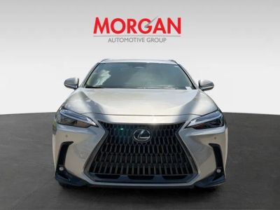 2025 Lexus NX — photo 8 view
