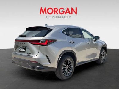 2025 Lexus NX — rear three-quarter view