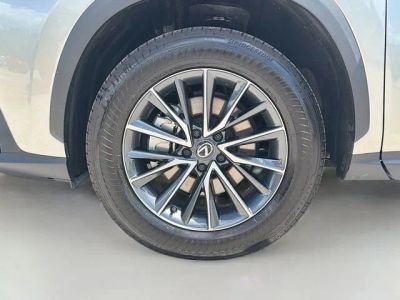 2025 Lexus NX — photo 41 view