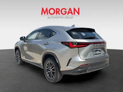 2025 Lexus NX — detail view