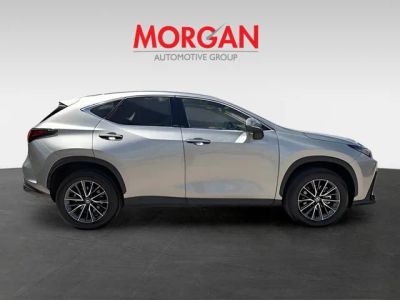 2025 Lexus NX — side profile view