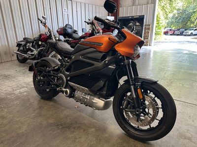 2020 Harley-Davidson Livewire - Photo 1