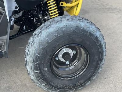2026 Can-Am Renegade 110 EFI — photo 15 view