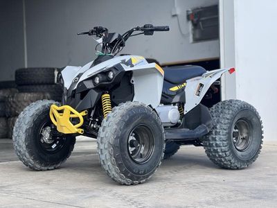 2026 Can-Am Renegade 110 EFI — side profile view