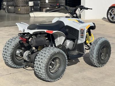 2026 Can-Am Renegade 110 EFI — rear three-quarter view