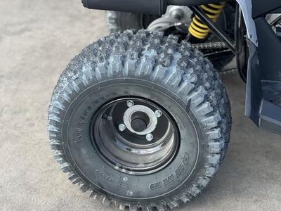 2026 Can-Am Renegade 110 EFI — photo 14 view