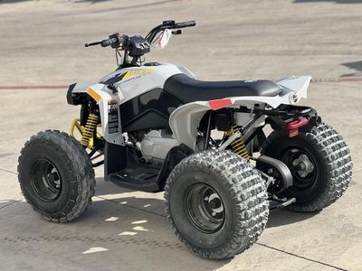 2026 Can-Am Renegade 110 EFI — interior view