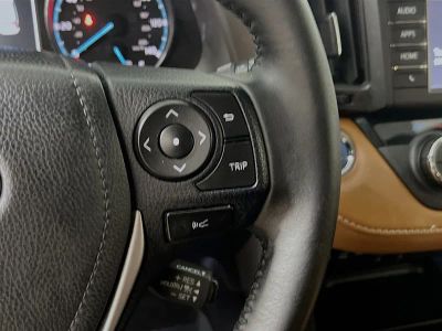 2017 Toyota RAV4 Hybrid — photo 17 view