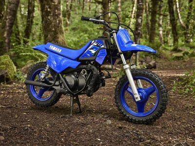 2026 Yamaha PW50 - Photo 14