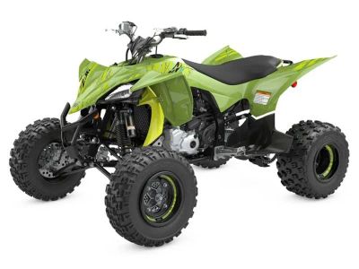 2026 Yamaha Raptor 110 - Photo 4