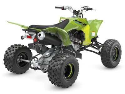 2026 Yamaha Raptor 110 - Photo 6