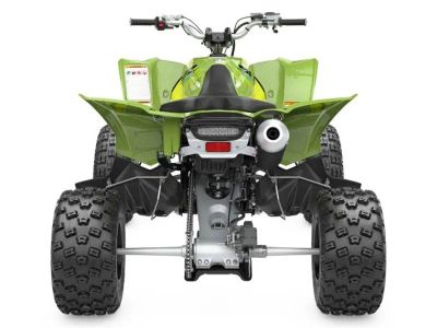 2026 Yamaha Raptor 110 - Photo 8