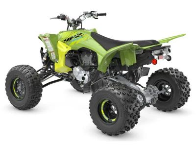 2026 Yamaha Raptor 110 - Photo 7