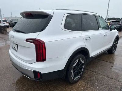 2024 Kia Telluride - Photo 3