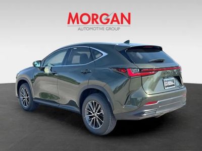 2026 Lexus NX — detail view