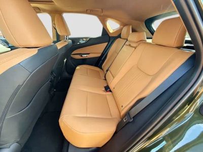 2026 Lexus NX — photo 20 view