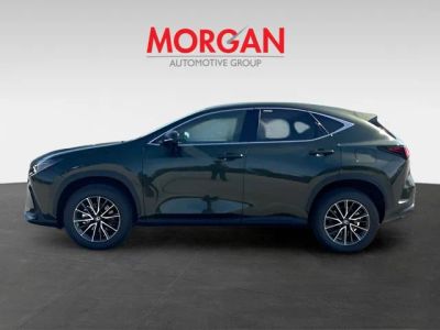 2026 Lexus NX — engine compartment view