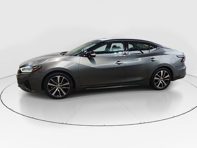 2023 Nissan Maxima - Photo 4