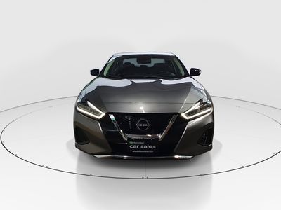 2023 Nissan Maxima - Photo 2