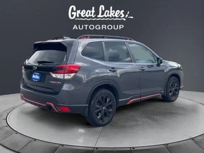 2024 Subaru Forester — detail view