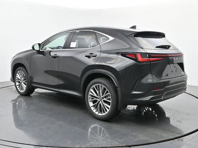 2026 Lexus NX - Photo 3