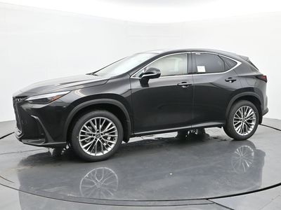 2026 Lexus NX - Photo 2