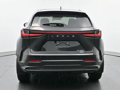 2026 Lexus NX - Photo 4