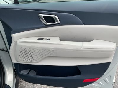 2026 Kia Carnival — photo 21 view