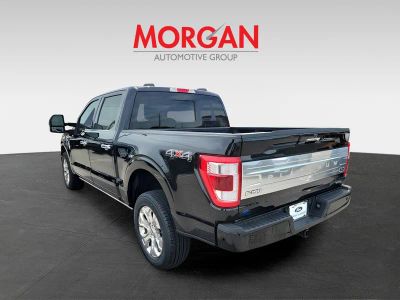 2023 Ford F-150 — rear three-quarter view