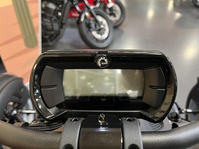 2025 Can-Am Ryker Rally - Photo 8