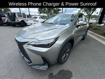 2025 Lexus NX — detail view