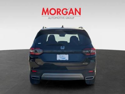 2025 Honda Pilot — detail view