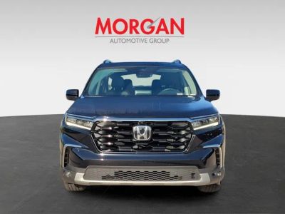 2025 Honda Pilot — side profile view