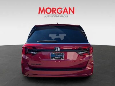 2026 Honda Odyssey — interior view