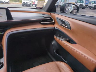 2025 Toyota Crown Signia — photo 18 view